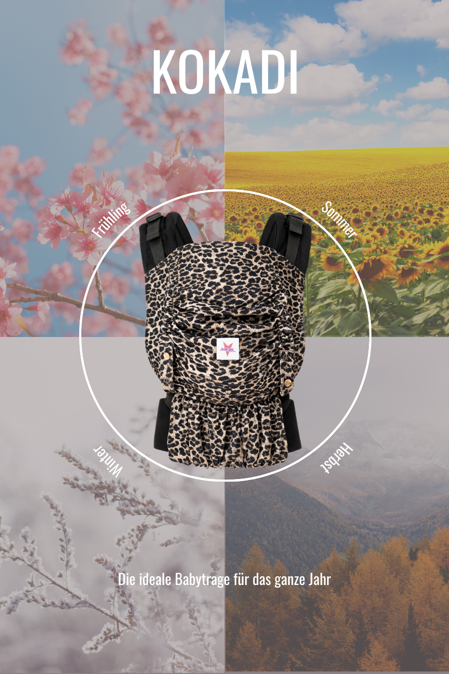 Флип Лейлафари